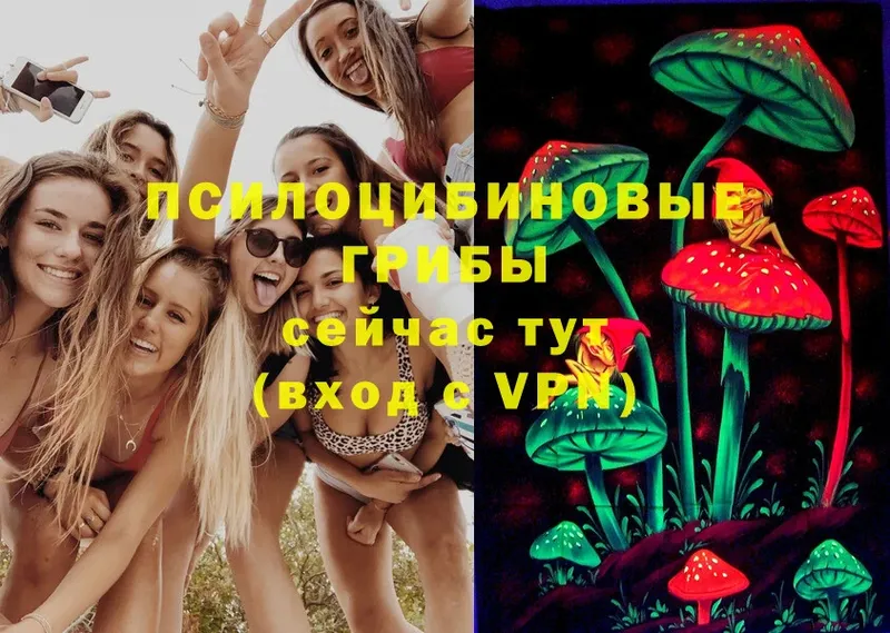 mega онион  Изобильный  Галлюциногенные грибы MAGIC MUSHROOMS 